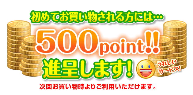 初めてお買い物される方には…500point!!進呈します！次回お買い物時よりご利用いただけます。