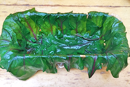 三浦野菜の贅沢テリーヌ かぶの葉ジェノベーゼソース