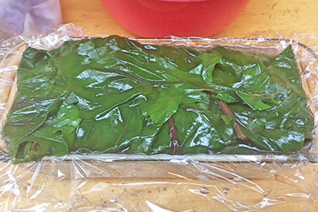 三浦野菜の贅沢テリーヌ かぶの葉ジェノベーゼソース