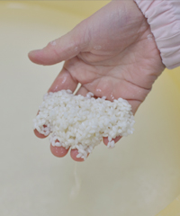 お米を水に浸す