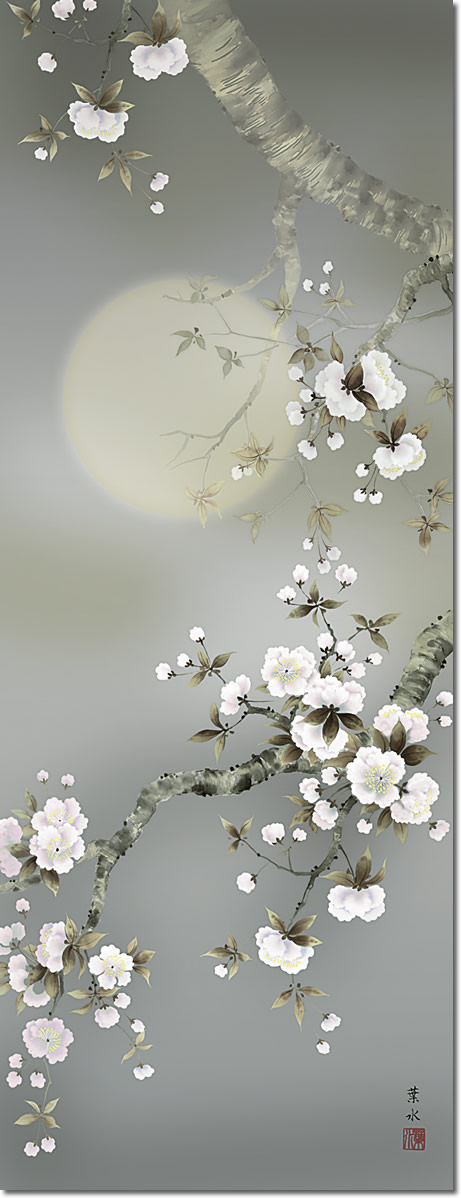 掛け軸-夜桜／緒方葉水（尺五・桐箱・風鎮付き・緞子）花鳥画掛軸 