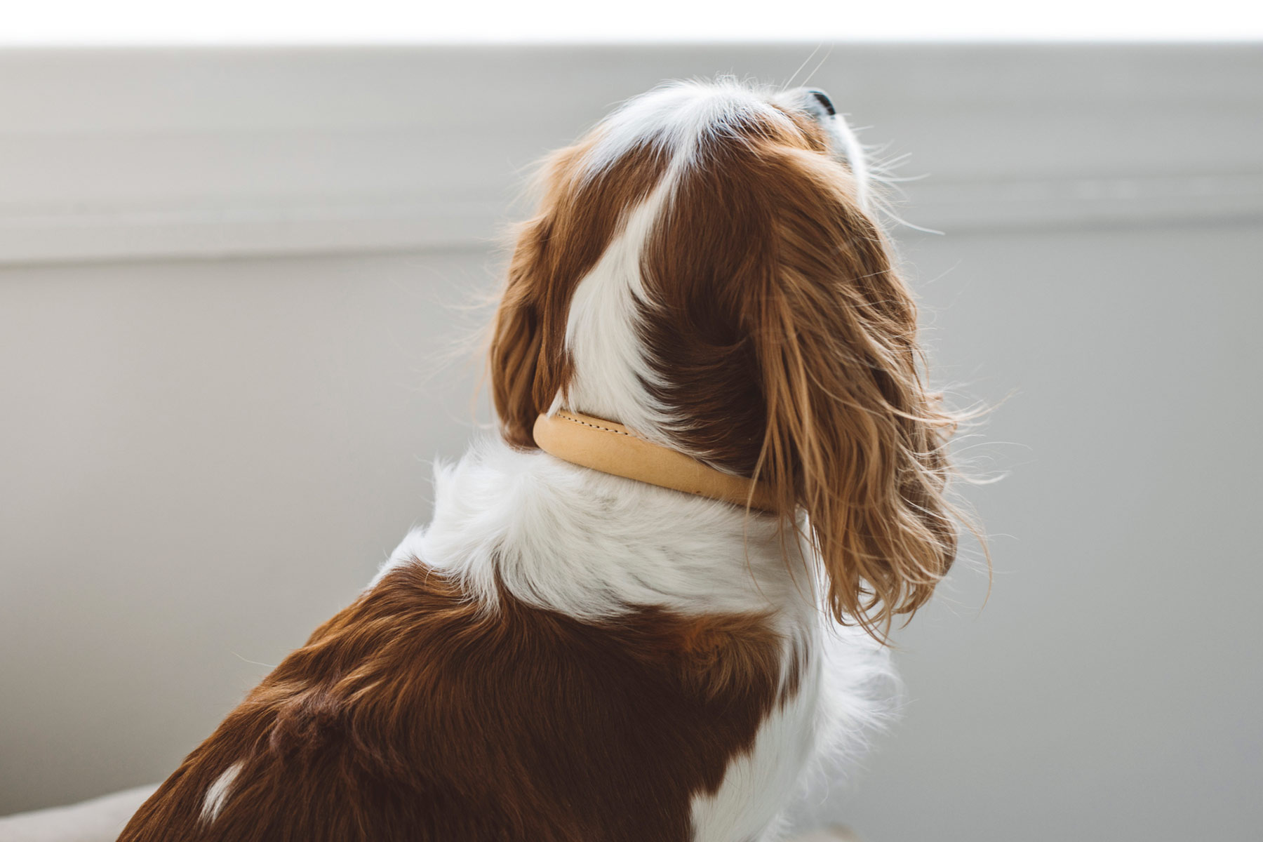 ,ɥå,ɥåå,ڥåȥå