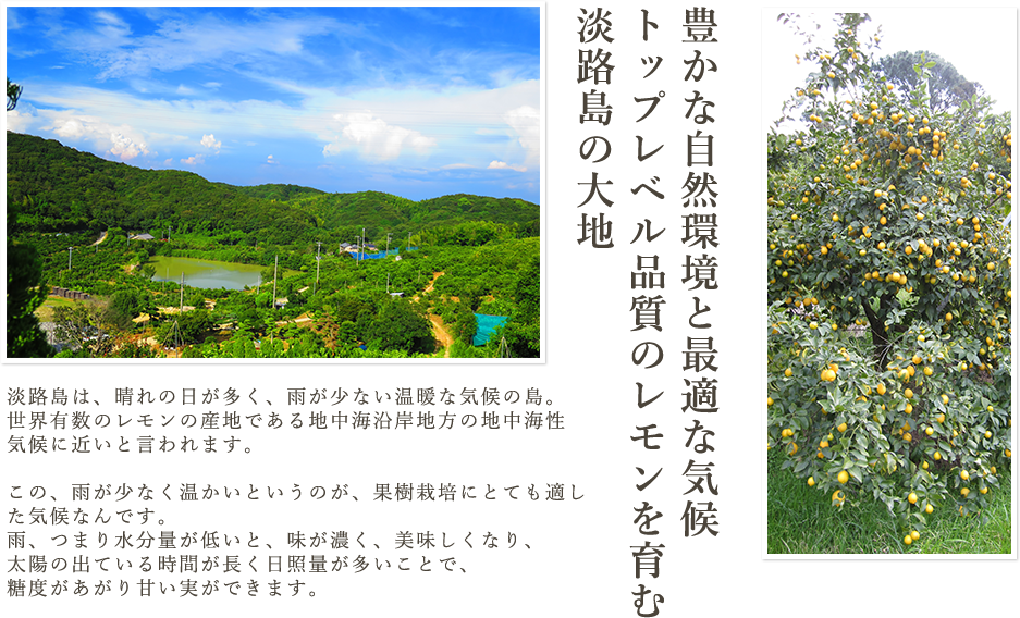 豊かな自然環境と最適な気候　トップレベル品質のレモンを育む淡路島の大地