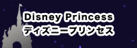 disney princess / ディズニープリンセス