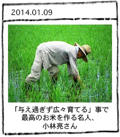 米作り名人レポート 小林亮さん