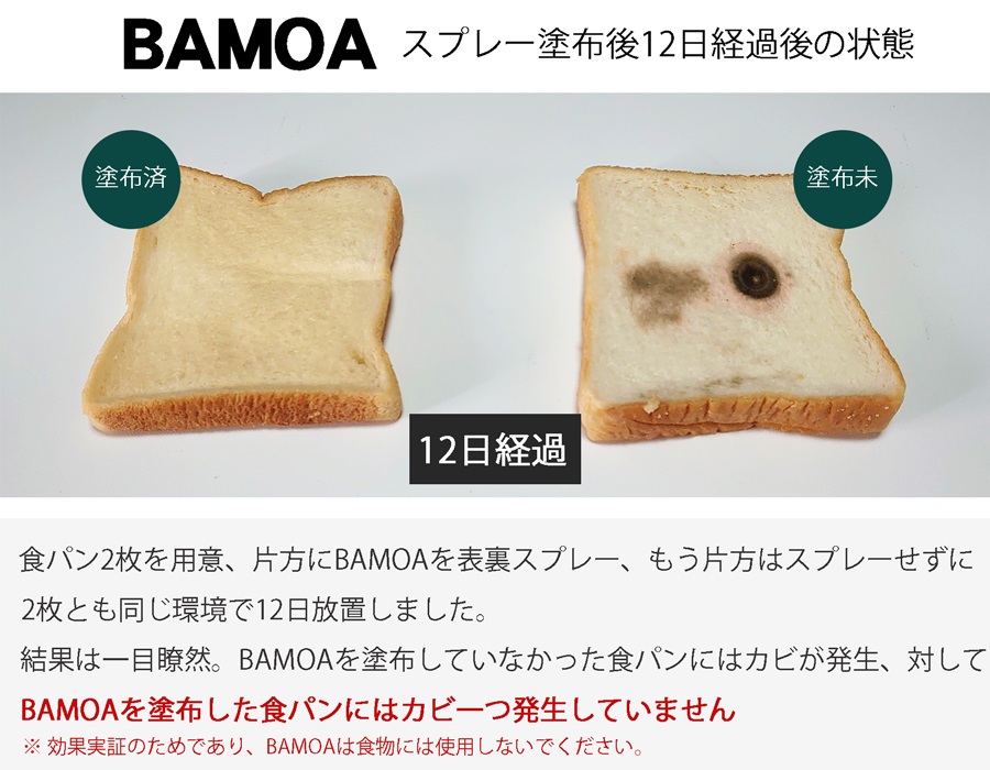 BAMOAの効果を実際に実証します。カビ菌発生抑制の実証になります。食パンにBAMOAを塗布、塗布しないものを計2枚用意。12日経過後、BAMOA塗布分はカビが一切発生していません。