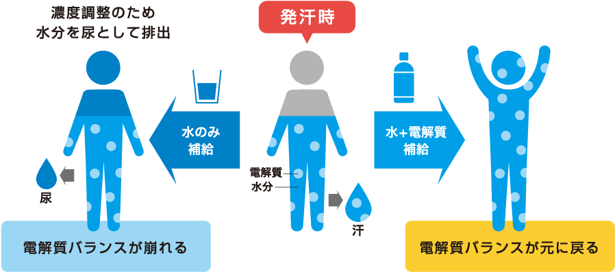 飲料｜経口補水パウダーダブルエイド - 五洲薬品オンラインショップ