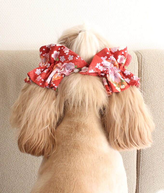 ����ꥫ�󥳥å������ѥ˥��뤬���Ѥ����ڥܥ�ܥ�ۥ��䡼���奷�� �º����꡼���ʼ�ˡ���켪�α��졦�����ڸ����ޤ�����ǥ롧���������Ĺ�����󥰥롧�����