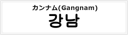 カンナム(Gangnam)