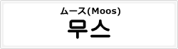 ムース(Moos)