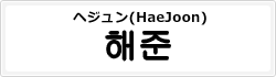 ヘジュン(HaeJoon)