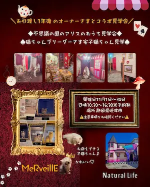 Natural Life OPEN HOUSE