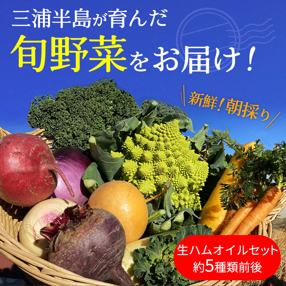 三浦半島の旬の野菜をお届け！