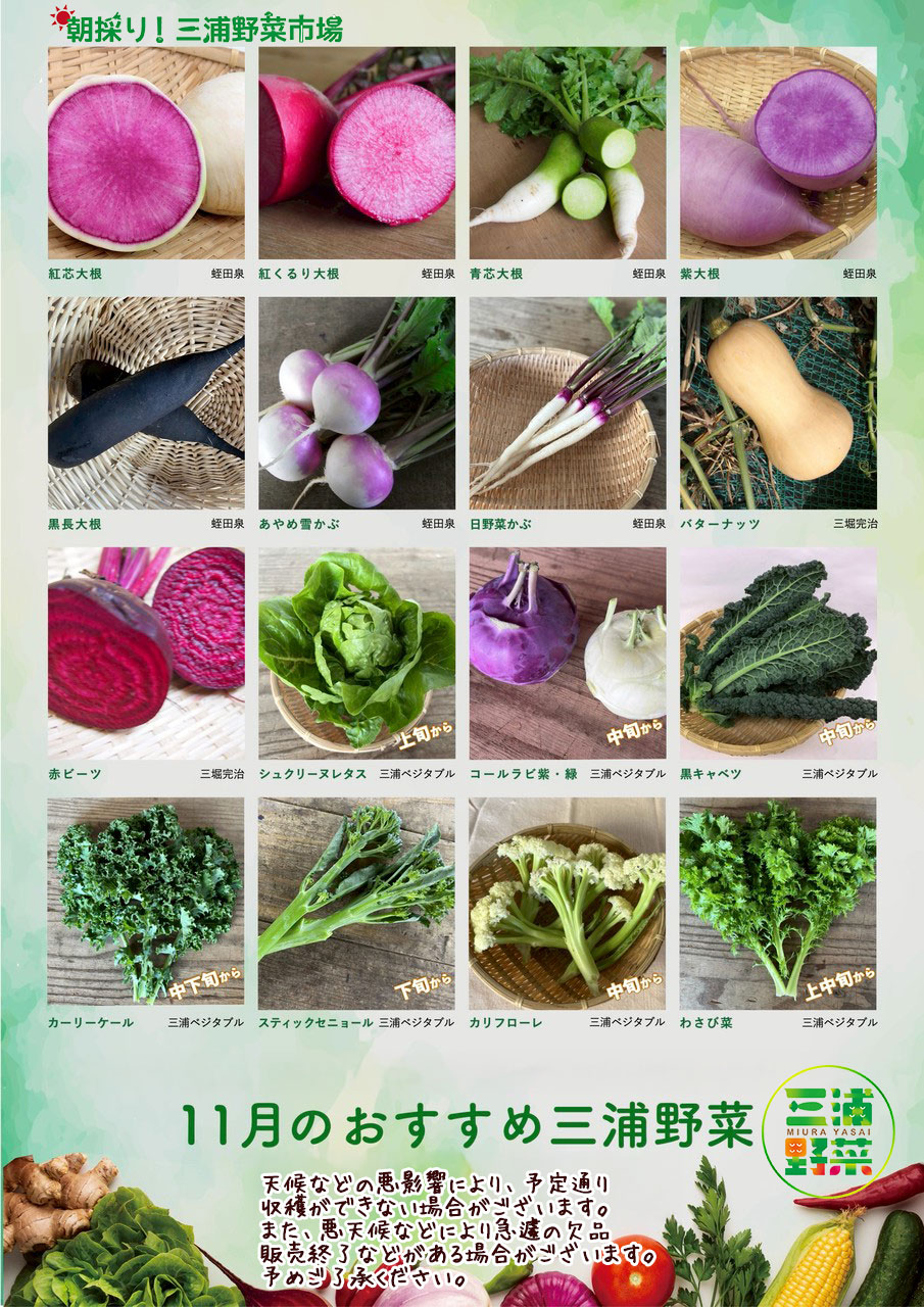 11·î¤ª¤¹¤¹¤á»°±ºÌîºÚ 11·î¤ª¤¹¤¹¤á»°±ºÌîºÚ