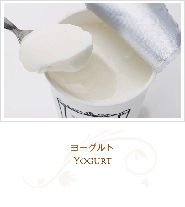ヨーグルト yogurt