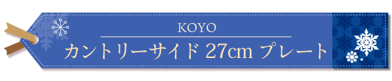 カントリーサイド 27cm ディナー皿 ネイビーブルー 6枚セット KOYO コーヨー（13428002）洋食器 業務用食器