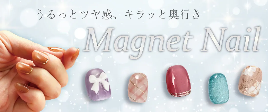 �ޥ��ͥåȥͥ���