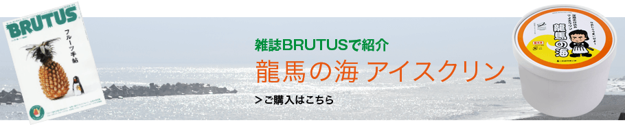 雑誌BRUTUS(ブルータス) で紹介。龍馬の海アイスクリン