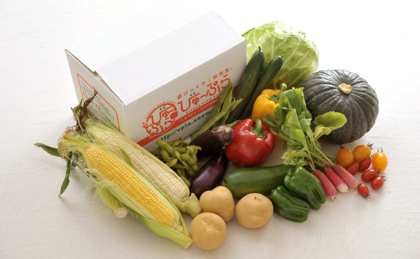 北海道ニセコ産　旬の野菜セットの写真