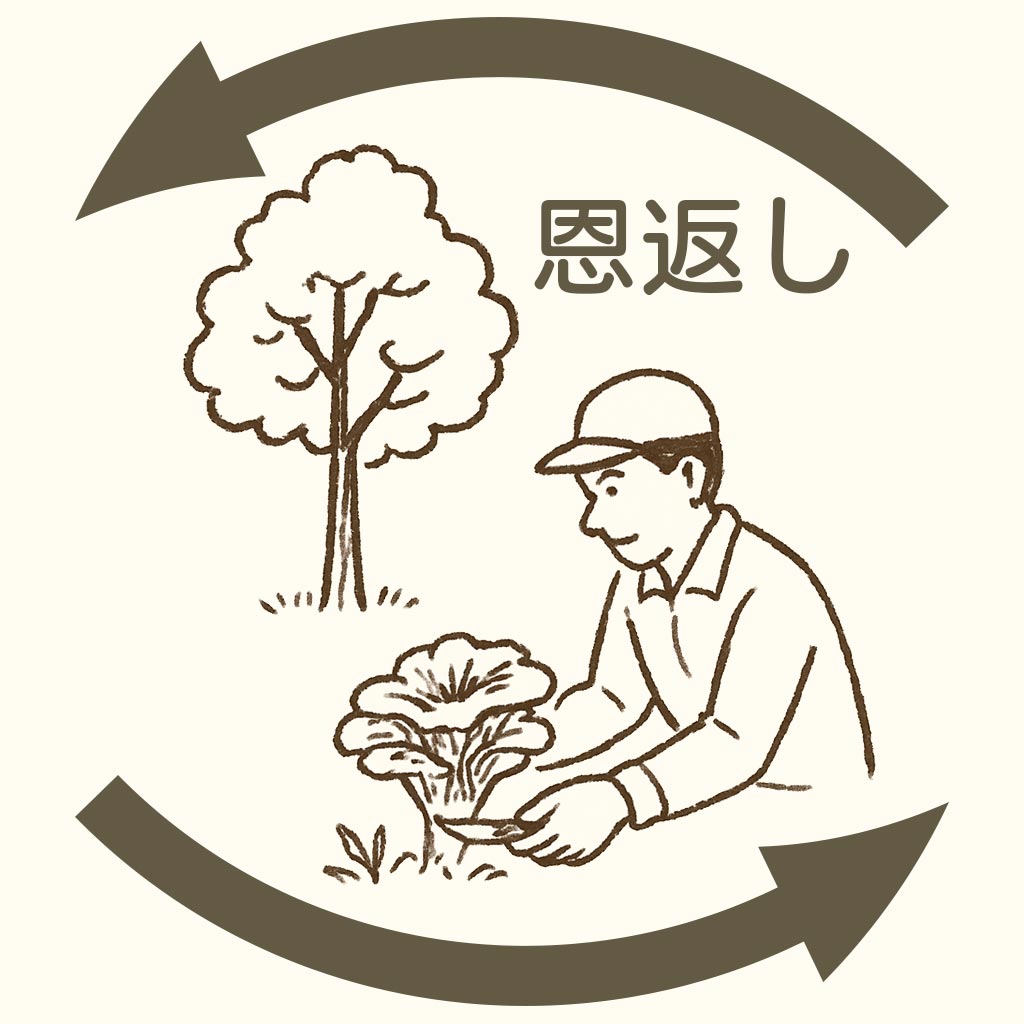˲֤Υ᡼