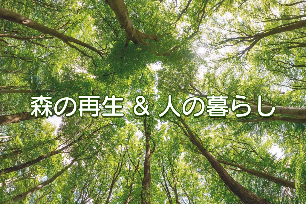 κȿͤ餷 - ³ǽʤΤŤ