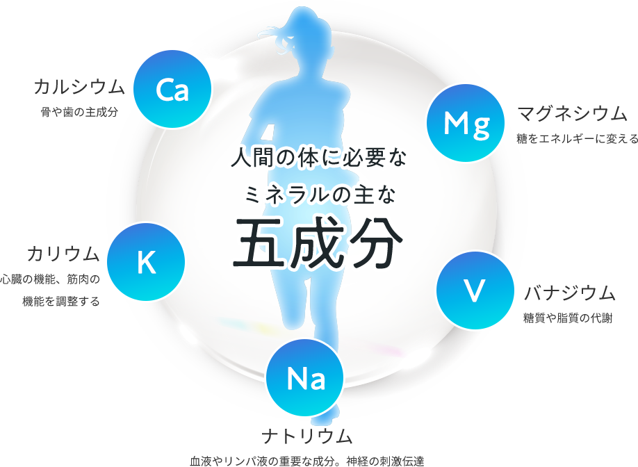 ʹ֤Τɬפʥߥͥμʸʬ