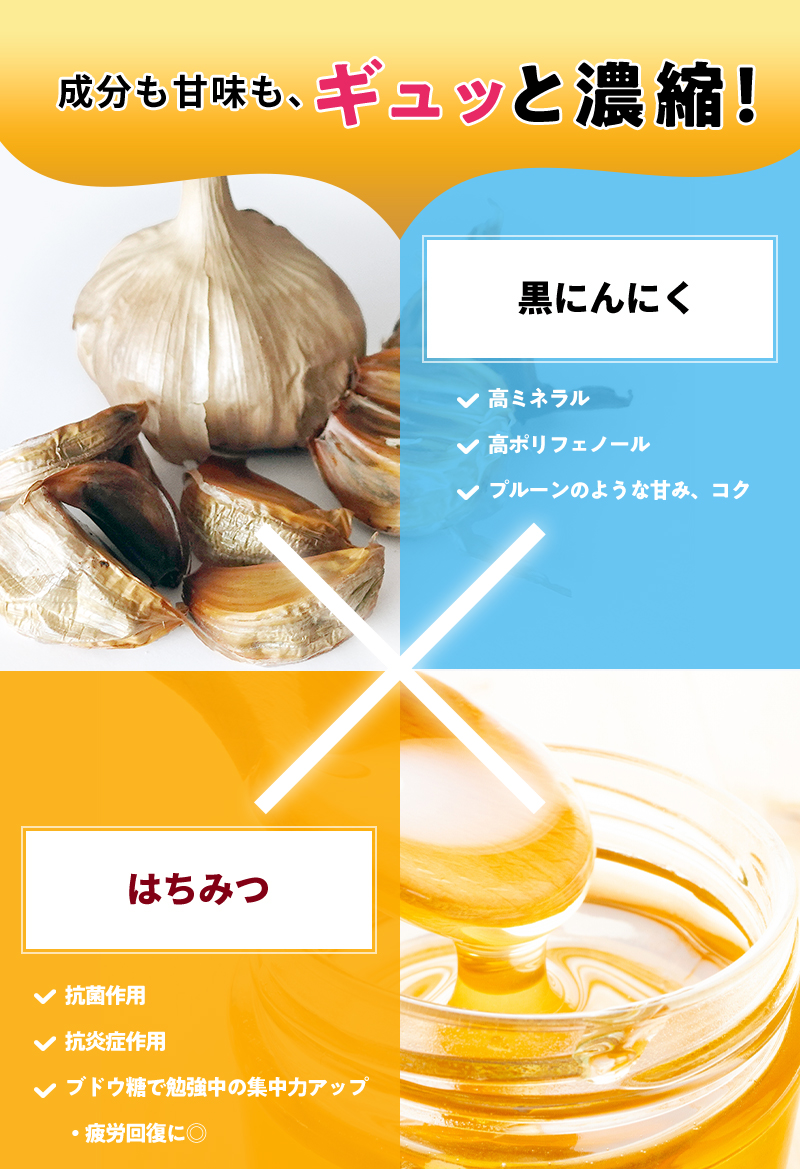 成分も甘みも、ぎゅっと濃縮!黒にんにくは高ミネラル、高ポリフェノール、プルーンのような甘み・コク。はちみつは抗菌作用、抗炎症作用、ブドウ糖で勉強中の集中力アップ・疲労回復に良い