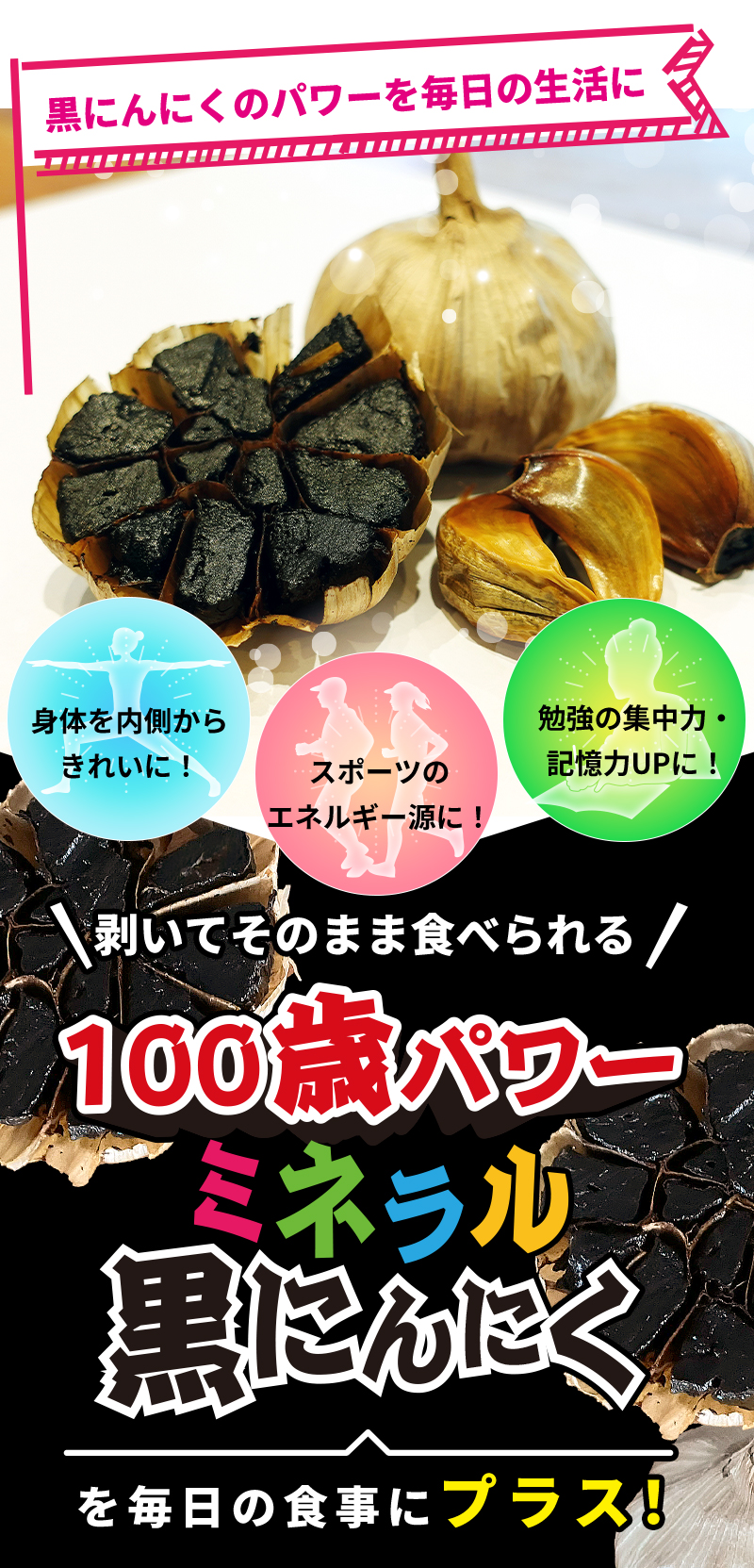 ˤˤΥѥˡΤ¦餭줤ˡݡĤΥͥ륮ˡٶνϡUPˡ