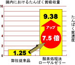 腸内におけるたんぱく質吸収量