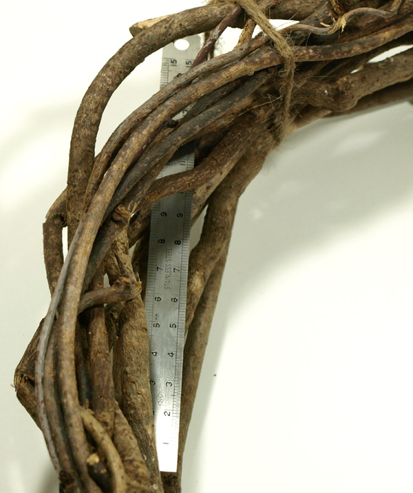 akebi_0360.jpg akebi_0360.jpg