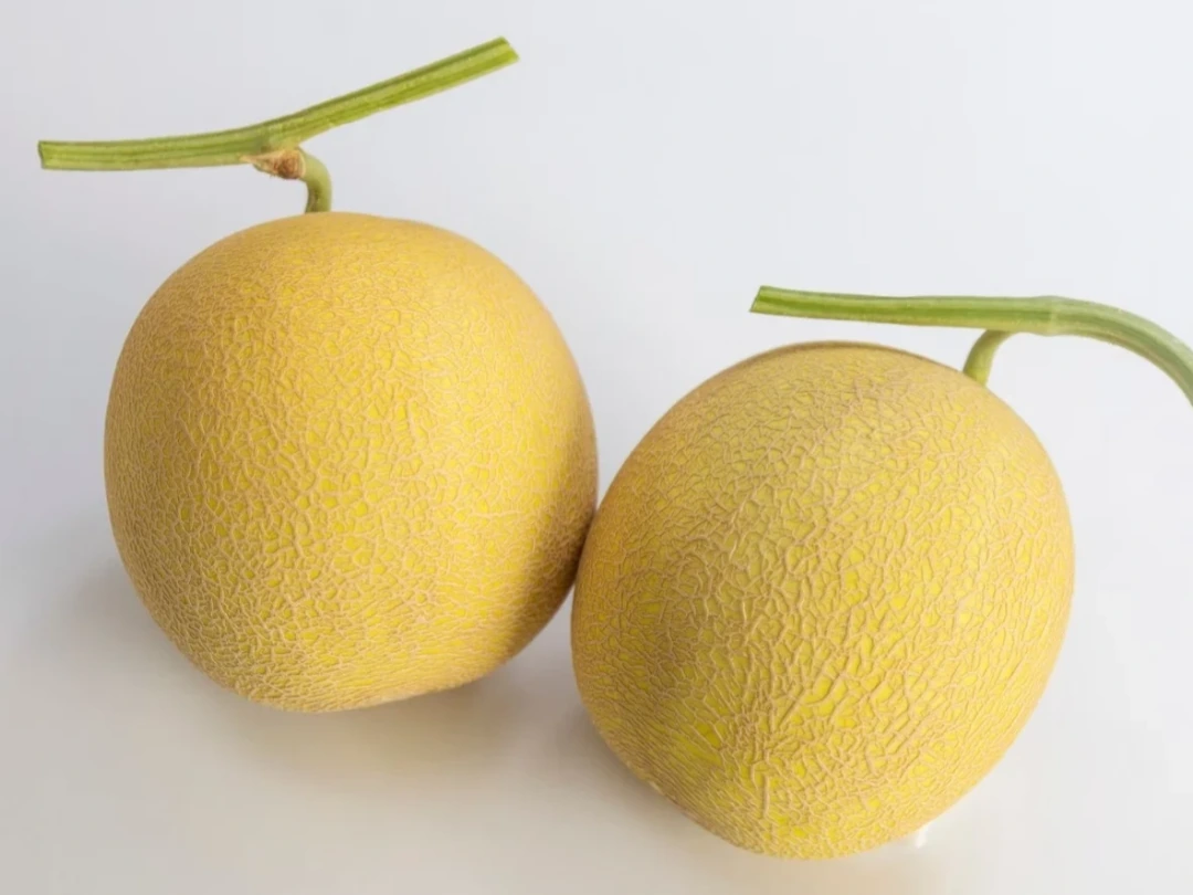 �Ҥ���