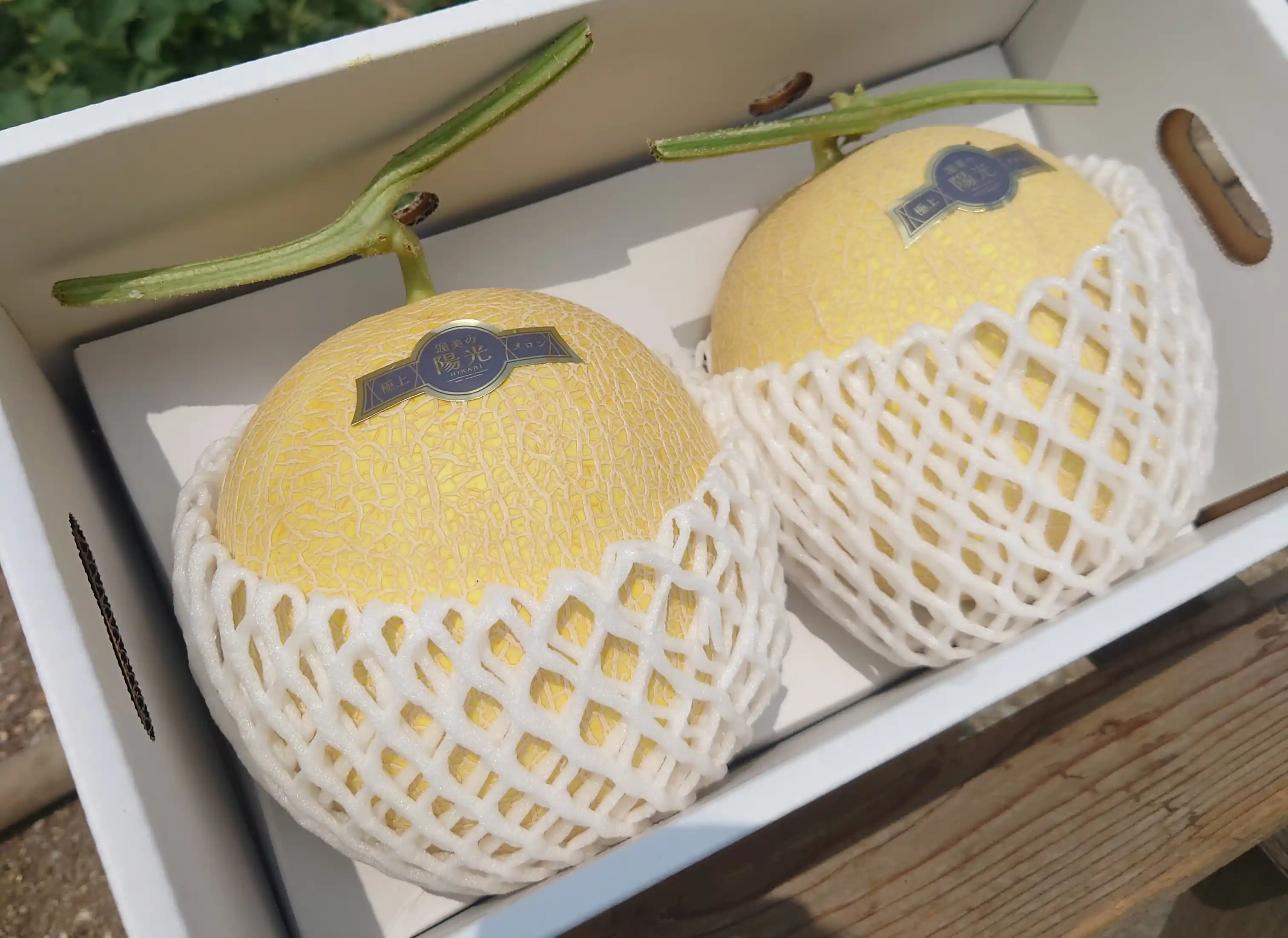 ���ʤ��Ϥ����᡼��