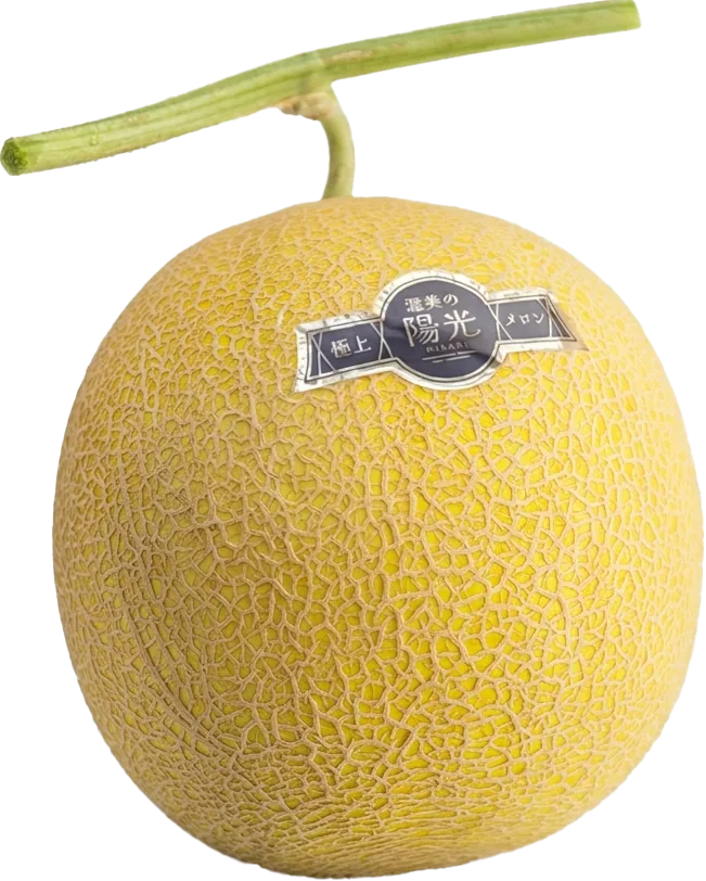 �������۸�
