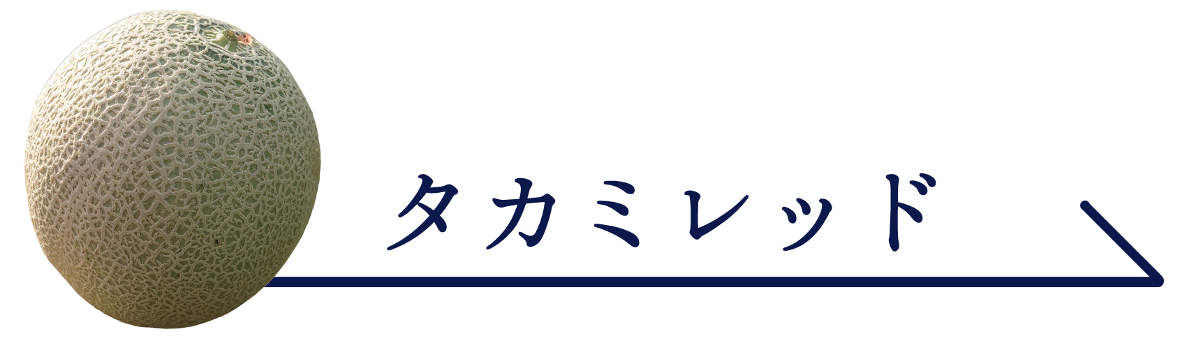 �����ߥ�å�