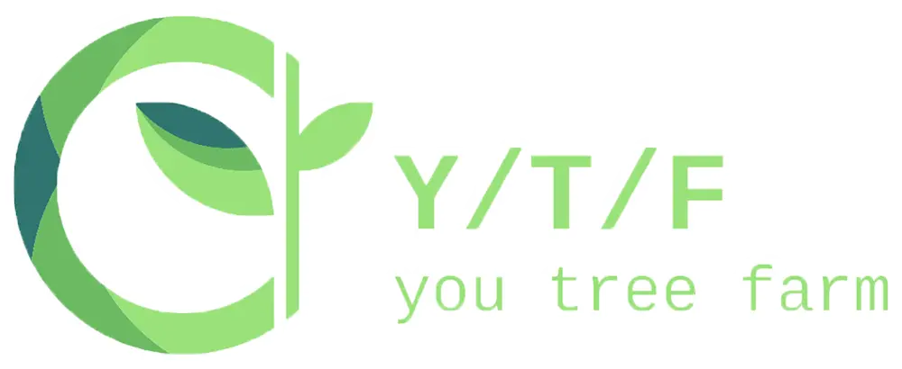 �桼�ȥ꡼�ե�����