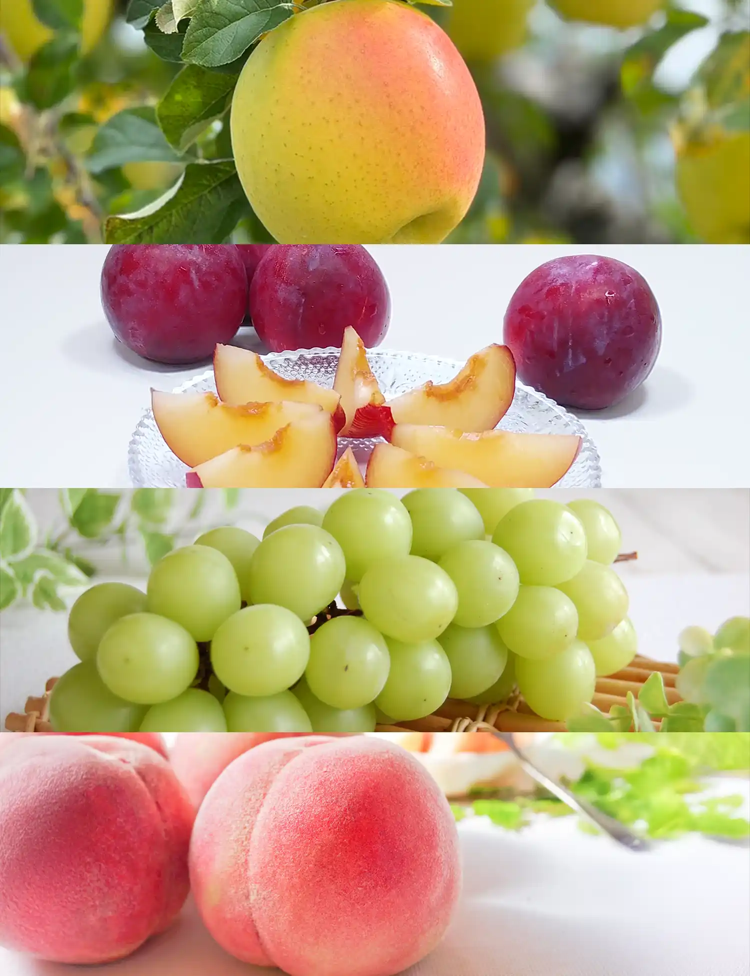 �դ��դ�����