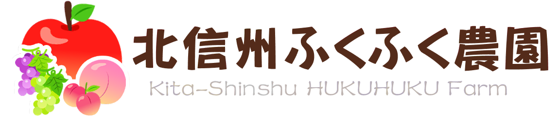 �դ��դ�����