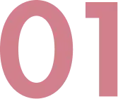 �������٥��EMS�����